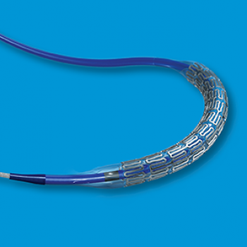 RX herculink elite renal stent system