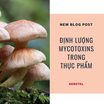 [Blog] Định lượng Mycotoxins trong thực phẩm bằng hệ thống chuẩn bị mẫu tự động MPS kết hợp kỹ thuật DPX